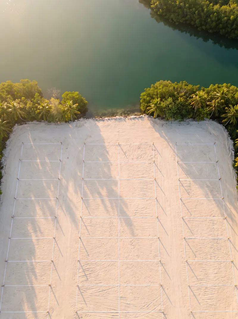Aerial view of a cleared plot marked out with survey lines and pegs beside a mangrove-lined lagoon